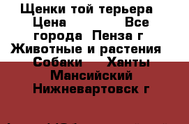 Щенки той терьера › Цена ­ 10 000 - Все города, Пенза г. Животные и растения » Собаки   . Ханты-Мансийский,Нижневартовск г.